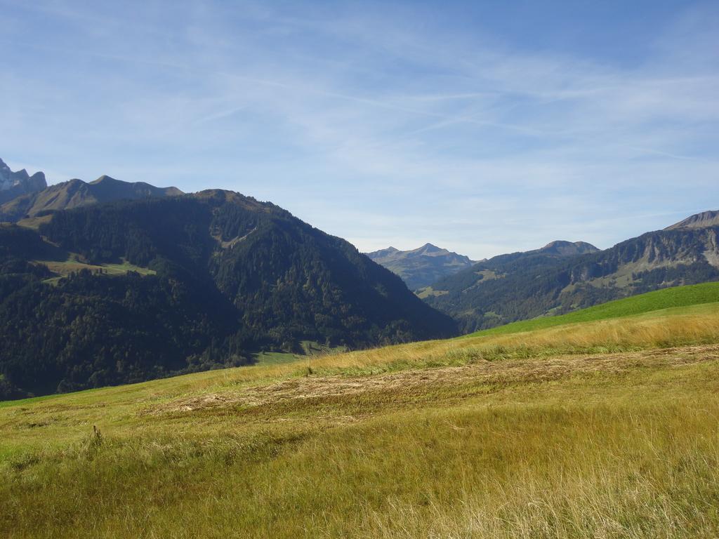 Haus Alpina Hotel Au (Vorarlberg) Eksteriør billede